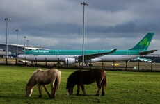 Flights, electricity, and Anglo-Irish travel: Things that will be fine in a no-deal Brexit