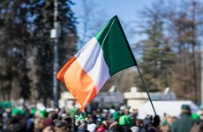 Dublin council to vote on lobbying minister to ask Northern Irish secretary to organise a border poll