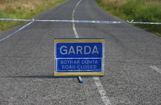 Cyclist (70s) dies following collision with van in Co Offaly