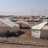 Families of Islamic State supporters escape Syria displacement camp, officials say