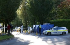 Man killed in overnight Dublin stabbing removed for post-mortem