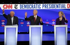 US Democratic debate focuses on healthcare, gun control and taking on billionaires