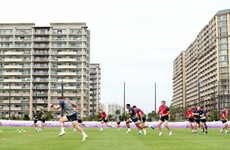 Ireland looking for blend of experience and form in team to face All Blacks