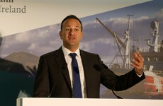 Leo Varadkar on beef protests: 'We need to see the task force do its job'