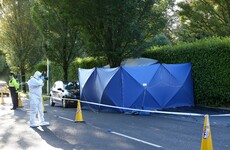 Two men arrested over fatal stabbing in Loughlinstown released without charge