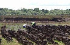 Bord na Móna announces plan to redeploy 200 workers