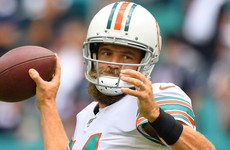 Dolphins to stick with Fitzpatrick at QB after Rosen's woes against Washington