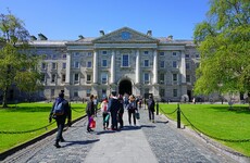 Column: 'I had to give up hope of finding a permanent job in an Irish university'