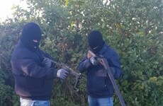 Longford feud violence flares again as slash hooks produced following graveyard gun video