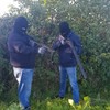Longford feud violence flares again as slash hooks produced following graveyard gun video