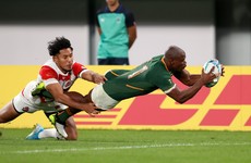 Rassie's Springboks power into semi-finals to end Brave Blossoms' World Cup