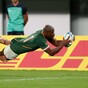 Rassie's Springboks power into semi-finals to end Brave Blossoms' World Cup