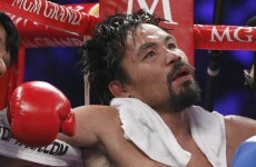 WBO to review Bradley win over Pacquiao
