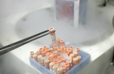 Girl, 10, receives vein grown from own stem cells