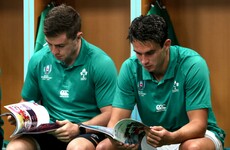 Lying in wait - Where do Ireland's second string stand after a year to forget?