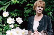 Kevin Barry, Sinéad Gleeson and Edna O'Brien amongst this year's Irish Book Awards nominees