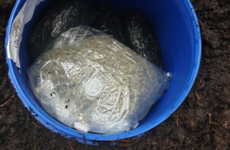 Two men arrested after cannabis and cocaine worth estimated €200k seized in Co Galway