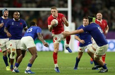 Halfpenny in for injured Williams as Gatland's Wales welcome back Davies