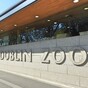 Pope visit and extreme weather send profits at Dublin Zoo company tumbling