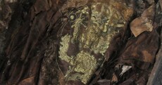 In pictures: Mummified human remains found in Ming Dynasty tomb