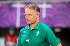 Ireland became 'predictable' but Marshall keen to see Schmidt back in Kiwi rugby