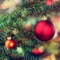 Poll: When are you taking down your Christmas tree?