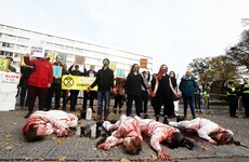 Extinction Rebellion activist arrested following 'bloody' protest outside Dublin's Clayton hotel