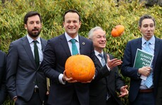 Taoiseach says he'll ditch his diesel car for hybrid 'if it makes sense'