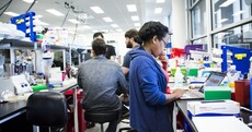 Meet the Dubliner behind the scenes at $4bn US biotech giant Ginkgo Bioworks