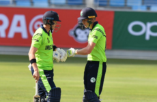 Ireland fall to Netherlands at semi-final stage of T20 World Cup qualifier