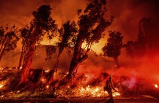 New California fire grows as crews make headway on other blazes