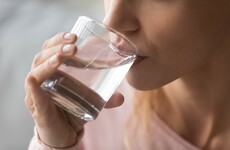 Water treatment 'not sufficient' to manage Cryptosporidium risks at Leixlip plant, says EPA