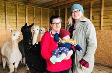 Column: 'We're worried our son will become an orphan due to our lack of rights'