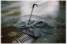 Cork summer show rained off