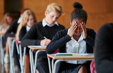 Students want overhaul of Leaving Cert course to avoid 'immense pressures' and rote learning