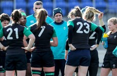Six uncapped players included in Ireland squad for Test match against Wales