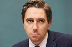 'Bear it in mind': Harris was contacted about vaping by minister and FG colleague