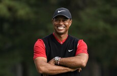 US captain Woods chooses Woods to play in Presidents Cup