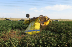 Small plane crashes in Texas during gender reveal stunt