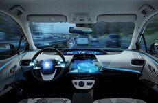 'If a self-driving car mistakes a child for a dog and doesn't swerve, who's liable there?'