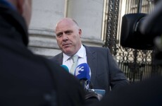 Finance Minister calls on Noel Grealish to clarify why he singled out Nigeria during leaders questions