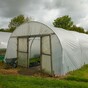 From the Garden: Making the most of polytunnel growing this winter