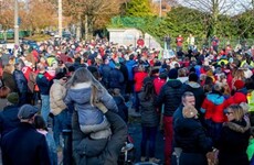 Hundreds gather to oppose plan for over 650 apartments beside St Anne's Park in Dublin