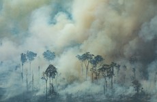 Amazon deforestation at highest level since 2008