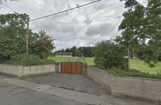 Plans for 500 build-to-rent apartments at Liam Cosgrave's former home
