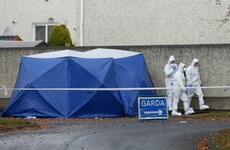 Gardaí identify victim of Lucan murder as suspected Kinahan hitman Wayne Whelan