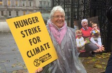 Grandmother launches hunger strike at Dáil gates in protest over Ireland's climate policies