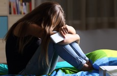 Gardaí concerned about children who 'live online but don't realise the dangers'