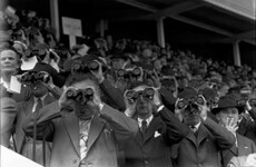 'Sheep-shearing and horse racing': Photography exhibition offers insight into the Ireland of yesteryear