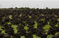 Debate about what ESB and Bord na Móna workers will do next should have started 'years ago', says union boss